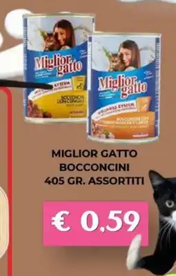 Kuadrifoglio Miglior gatto Bocconcini offerta