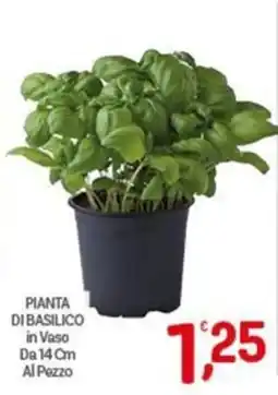 Crai Pianta di basilico in vaso offerta