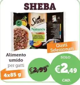 ZooPlanet Sheba Nature's Collection Alimento umido per gatti offerta