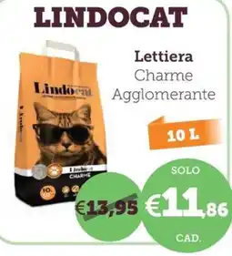 ZooPlanet Lindocat Lettiera Charme Agglomerante offerta