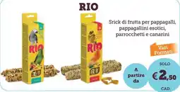 ZooPlanet Srick di frutta Rio offerta