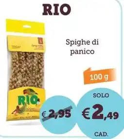ZooPlanet Rio spighe di panico offerta