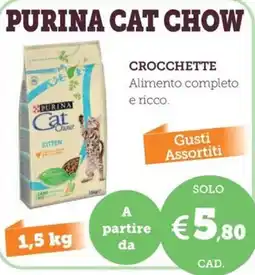 ZooPlanet Purina Cat Chow Kitten offerta