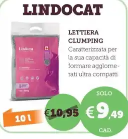 ZooPlanet Lindocat lettiera clumping offerta