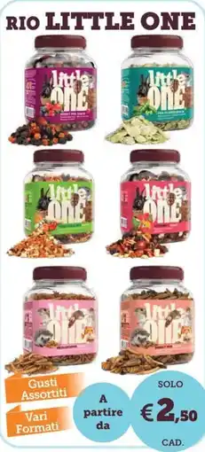 ZooPlanet Rio Little One offerta