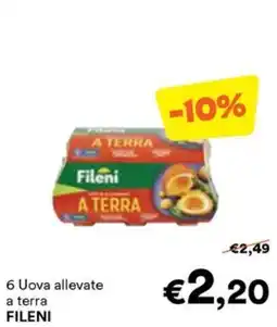 Unes Uova allevate a terra Fileni offerta