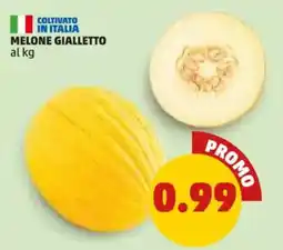 PENNY Melone Gialletto offerta