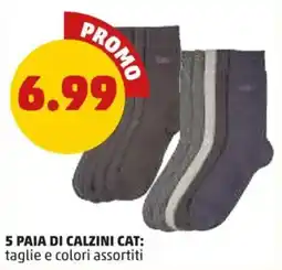 PENNY Calzini Cat offerta