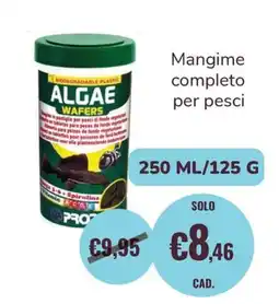 ZooPlanet Algae Wafers offerta
