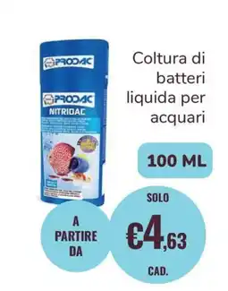 ZooPlanet Coltura di batteri liquida per acquari Prodac Nitridac offerta