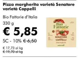 Pizza margherita varietà Senator Cappelli