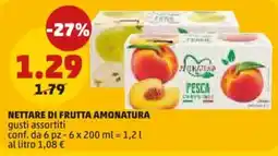 PENNY Nettare di frutta Amonatura offerta