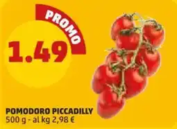 PENNY Pomodoro Piccadilly offerta