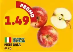 PENNY Mele Gala offerta