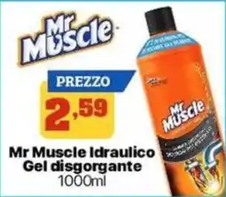 Pianeta Pulito Mr Muscle Idraulico Gel disgorgante offerta