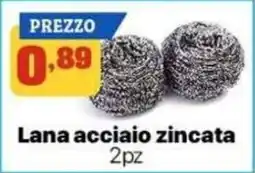 Pianeta Pulito Lana acciaio zincata offerta