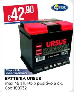 Pronto Hobby Batteria Ursus offerta