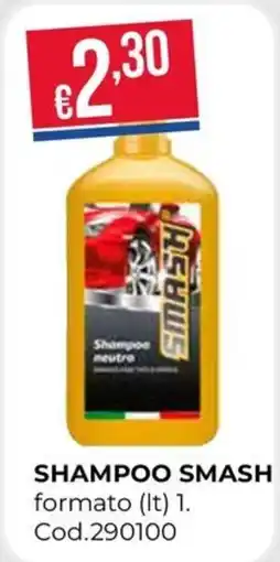 Pronto Hobby Shampoo Smash offerta