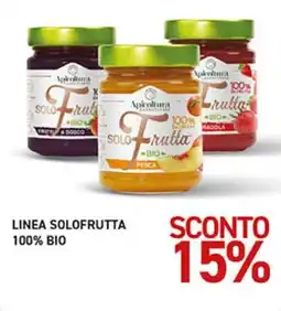 Coal City Solo Frutta Apicoltura offerta