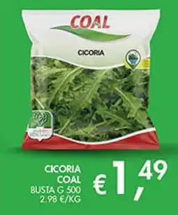 Maxi Coal Cicoria Coal offerta