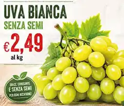 Maxi Coal Uva bianca senza semi offerta