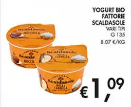 Maxi Coal Yogurt bio Scaldasole offerta