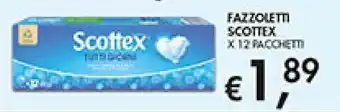 Maxi Coal Fazzoletti Scottex offerta