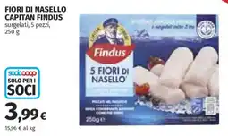 Ipercoop Fiori di nasello Findus offerta