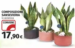 Ipercoop Composizione sansevieria in ceramica offerta