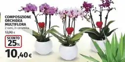 Ipercoop Composizione orchidea multiflora offerta