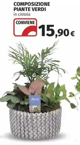 Ipercoop Composizione piante verdi in ciotola offerta