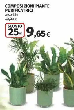 Ipercoop Composizioni piante purificatrici assortite offerta