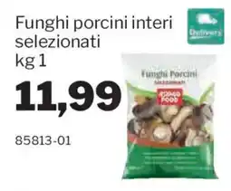 GrosMarket Funghi porcini interi selezionati offerta