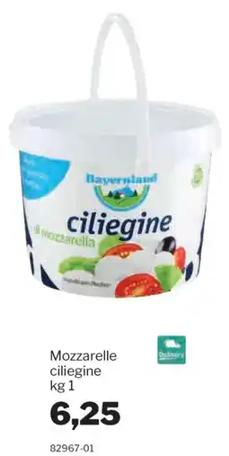 GrosMarket Mozzarella ciliegine offerta