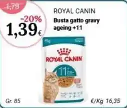 Re Mercato Lucrezia Royal Canin Busta gatto gravy ageing +11 offerta