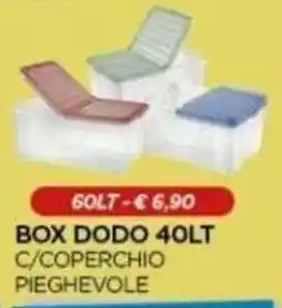Gr Rubino Box Dodo offerta