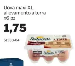 GrosMarket Uova maxi XL Naturelle a terra offerta
