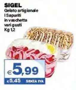 Boningros Cash and Carry Sigel gelato artigianale i sapuriti in vaschetta offerta