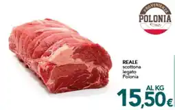 Altasfera Reale scottona legato Polonia offerta