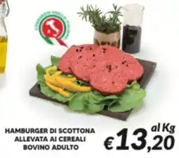 Supermercati Visotto Hamburger di scottona allevata ai cereali bovino adulto offerta