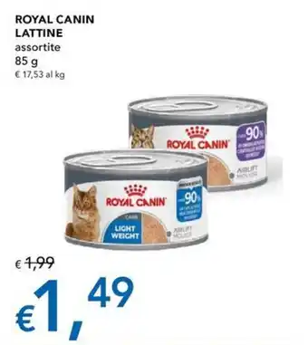 Royal Canin lattine assortite