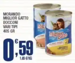 Splendidi e Splendenti Miglior gatto offerta