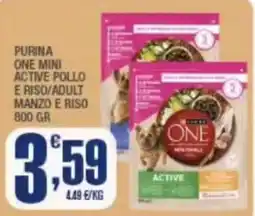 Splendidi e Splendenti Purina One Mini Active Pollo e Riso/Adult Manzo e Riso offerta