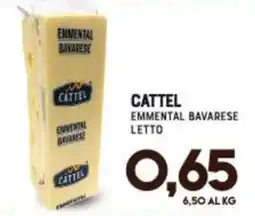 Gran Risparmio Cattel Emmenthal Bavarese letto offerta