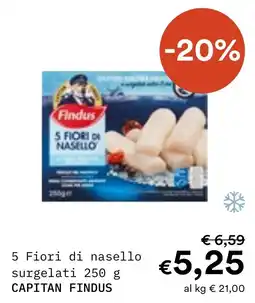 Borello Supermercati 5 Fiori di nasello surgelati CAPITAN FINDUS offerta