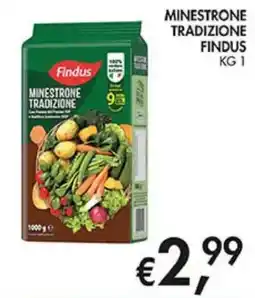 Coal Minestrone tradizione Findus offerta