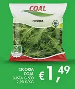 Coal Cicoria Coal offerta