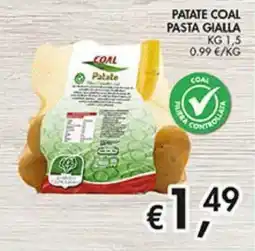 Coal Patate Coal offerta
