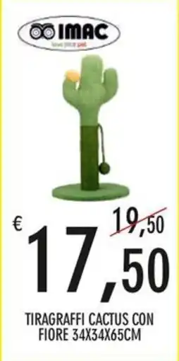 Moby Dick Imac tiragraffi cactus con fiore offerta