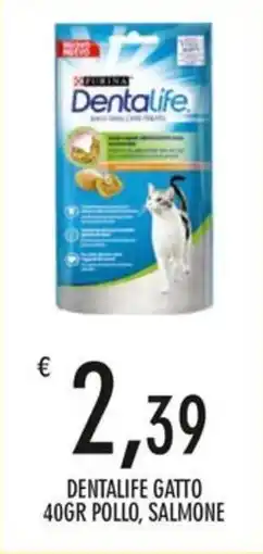 Moby Dick Dentalife gatto offerta